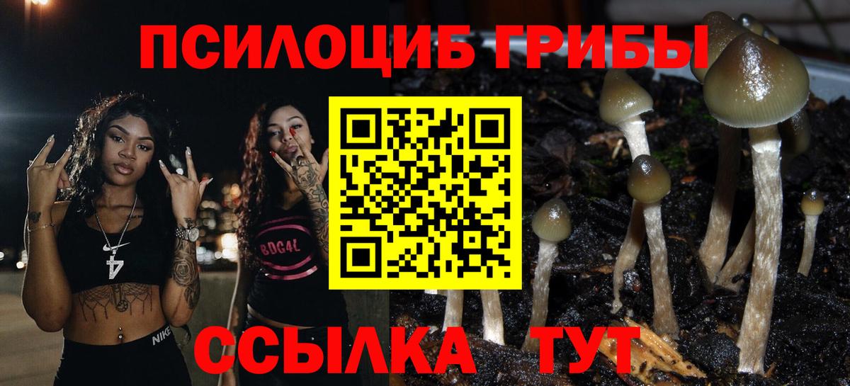Псилоцибиновые грибы мухоморы Красногорск