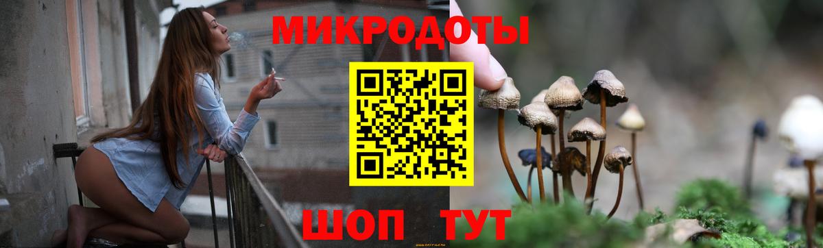 Красногорск  Галлюциногенные грибы Psilocybe  Вход с VPN 